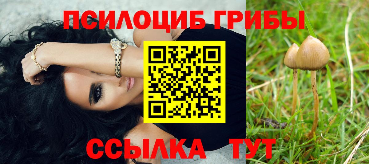 Псилоцибиновые грибы MAGIC MUSHROOMS Ачинск